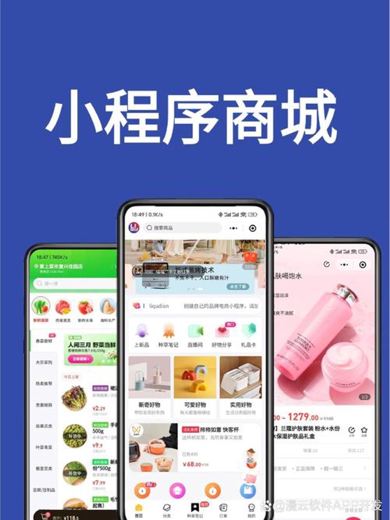 小程序开发：构建移动生态的新篇章